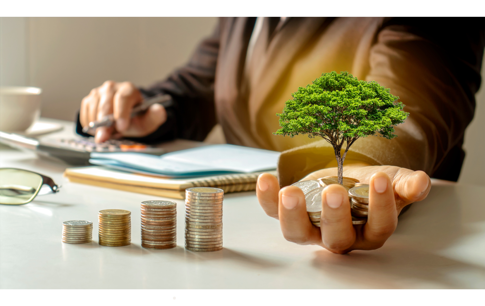 Aprender a invertir en la bolsa de valores